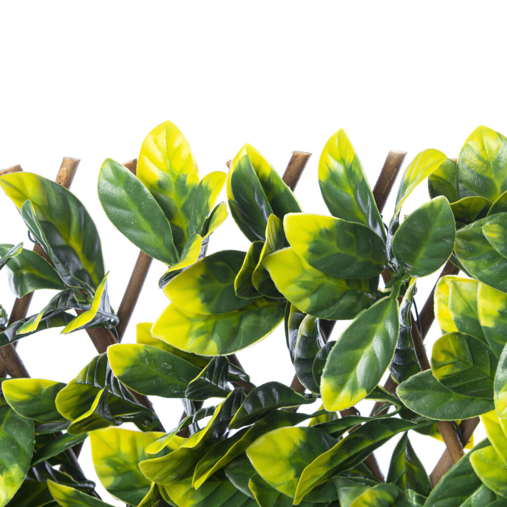 Willow Expandable Trellis 40"X80" Gardenia Leaves