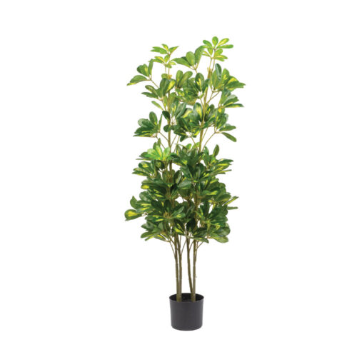 Artificial 47" Schefflera Indr&Otdr