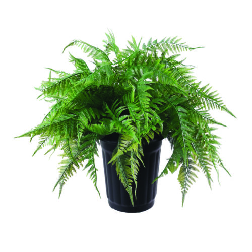 Fougère Naturae Decor - Plante d'intérieur et d'extérieur artificielle réaliste - Résistante aux UV - 47 po de haut