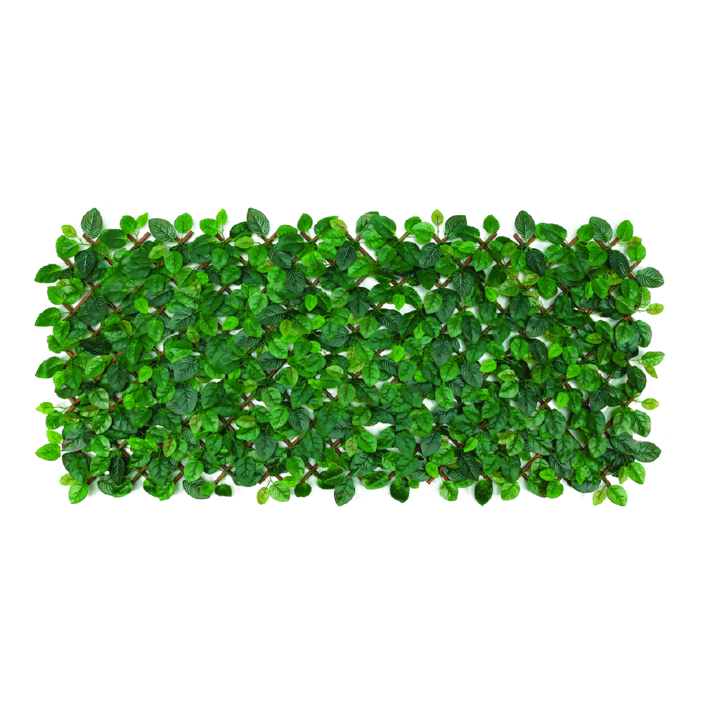 ROUND PP EXPANDABLE TRELLIS 24"X60" FITTONIA LEAF