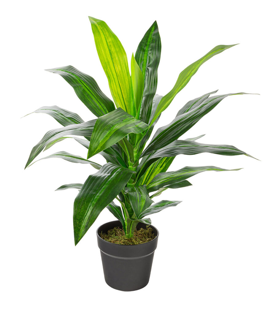 Artificial Dracaena Indoor 25-in