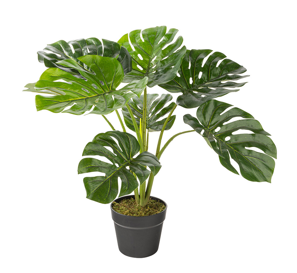 Artificial Monstera Indoor 23-in