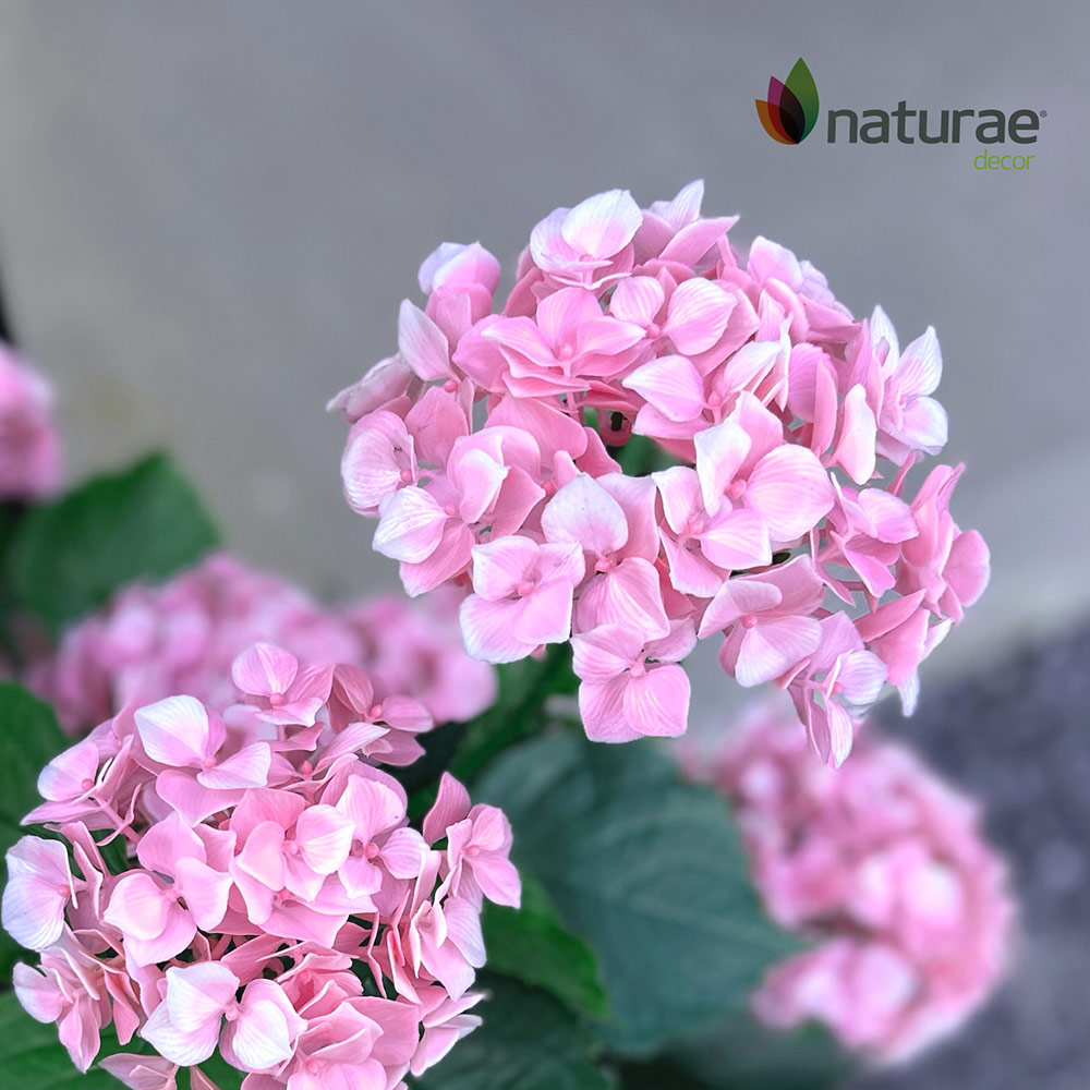 Hydrangée rose artificielle Intérieur/Extérieur 24 po – Image 2