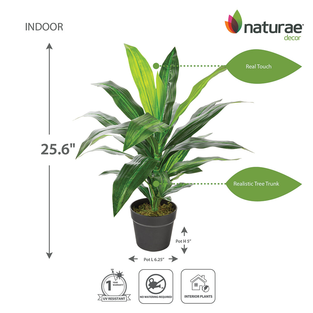 Artificial Dracaena Indoor 25-in - Image 2