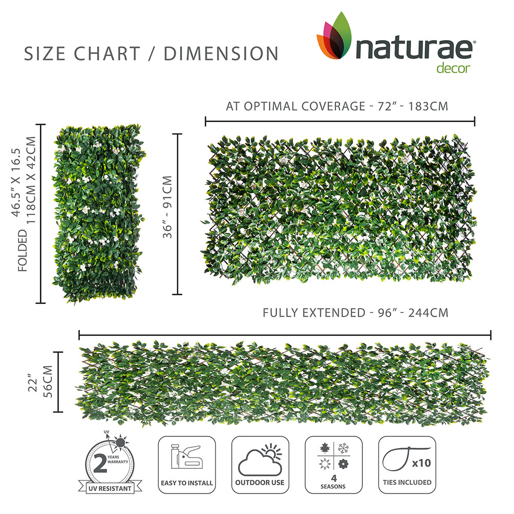 Willow Expandable Trellis 36 x 72-in with White Roses - Image 2