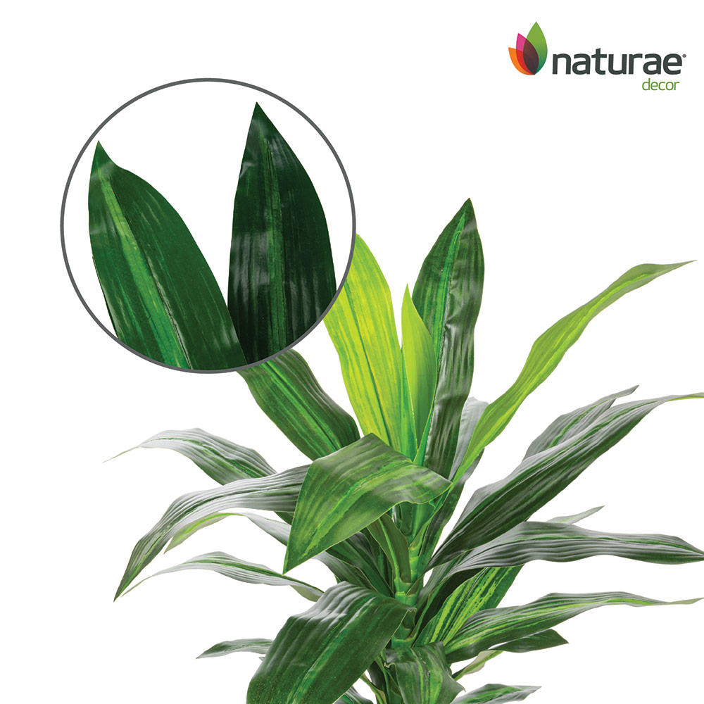 Artificial Dracaena Indoor 25-in - Image 3
