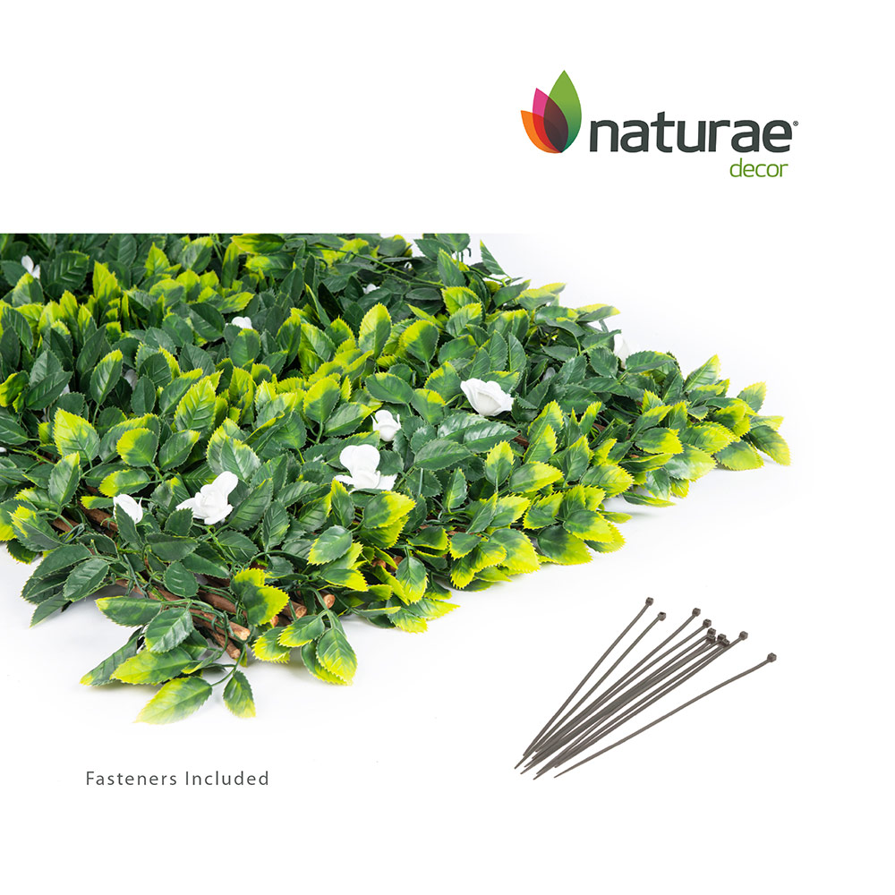 Willow Expandable Trellis 36 x 72-in with White Roses - Image 4