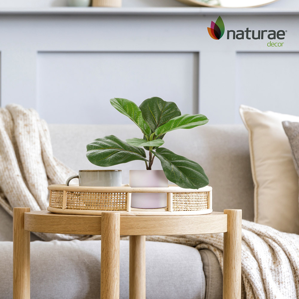 Artificial Ficus Indoor 12-in - Image 5