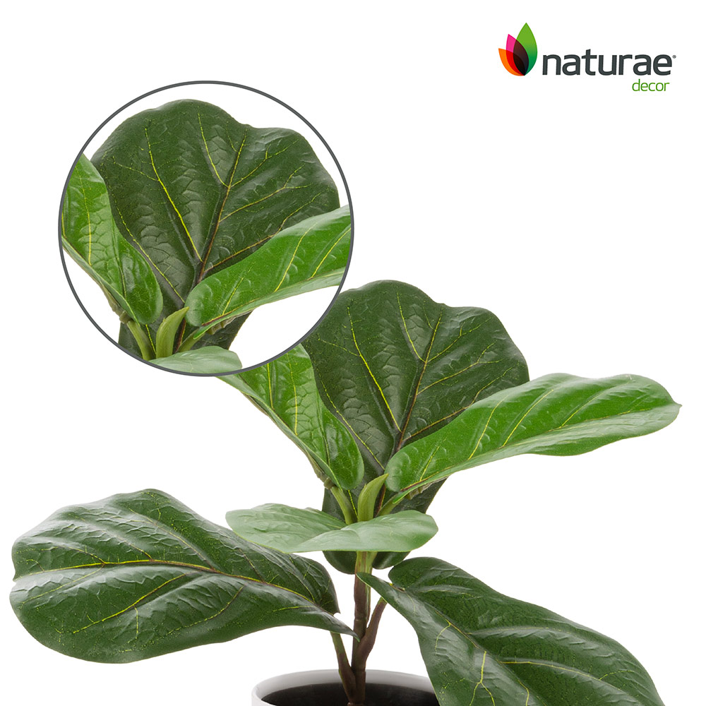 Artificial Ficus Indoor 12-in - Image 2